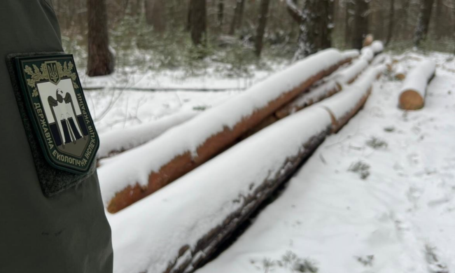 Держекоінспекція