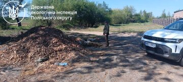 Госэкоинспекция