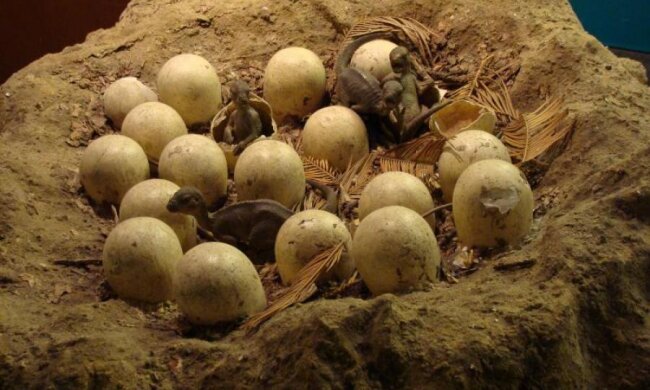 Вчені розкрили нову таємницю про динозаврів