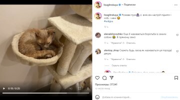 Скріншот із Instagram, Ліза Глінська