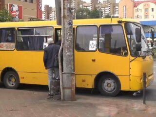 Маршрутки, фото: скриншот из видео