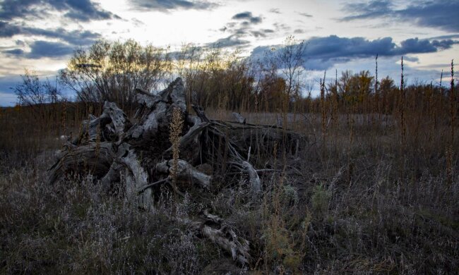 Погода в Україні, фото: Пикабу