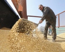 Всеукраїнську аграрну раду спіймали на крадіжці грошей аграріїв, які ті збирали на протести