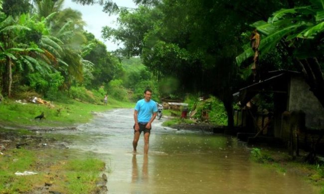 Хватаются за головы: ученые предупредили о новой катастрофе