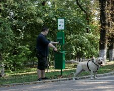 Вінницьких псів посадили "на унітази": містяни показали цінний лайфхак всій Україні