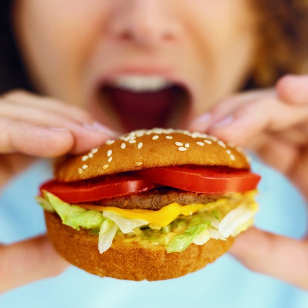 Жирная пища убивает интеллект: ученые поразили новым исследованием