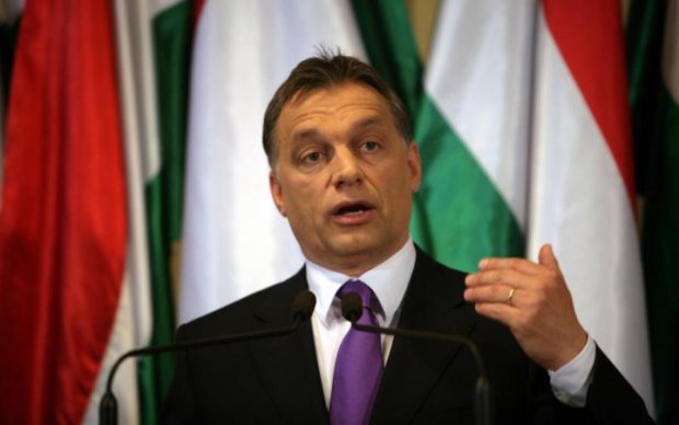Беспрецедентная наглость: Украина готова дать Венгрии по зубам