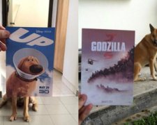 Ді Капріо проти Котзілли: новий тренд захопив Instagram