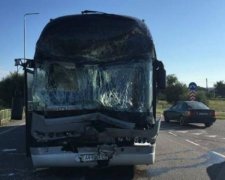 Автобус з миколаївськими школярами потрапив у ДТП