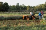 Работа на полях / фото: Freepik
