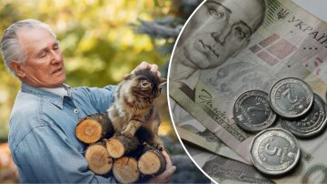 Гроші на дрова: виплати на тверде паливо
