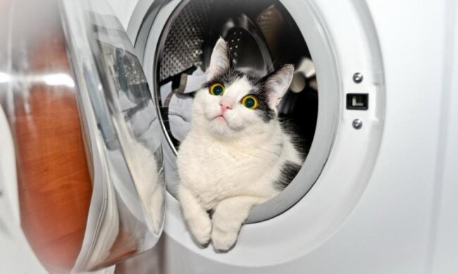 Фатальні помилки: ніколи не робіть цього під час прання