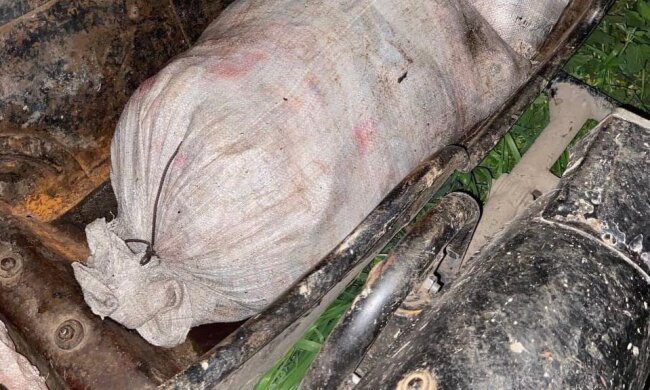 незаконний вилов риби