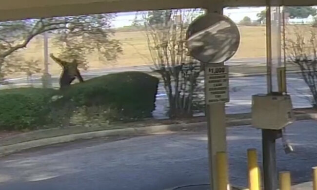 Скриншот, фото с youtube