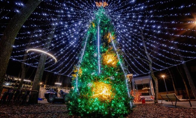 Новый год, елка, фото из соцсетей