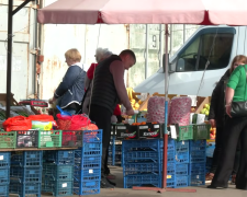 Ранние овощи. Фото: скрин youtube