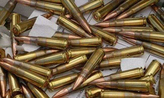 Правоохоронці виявили в Донецькій області 17 гранат та 300 патронів (фото)