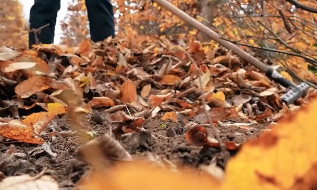 Опале листя, скріншот з відео