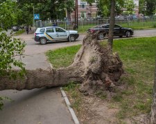 Киянина ледь не розчавило на очах у десятків людей, смерть була на підході: страшний момент потрапив на відео