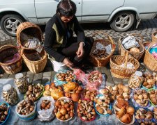 Урожайный уикенд: где найти лучшие грибные места