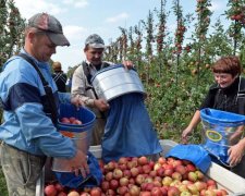 Ментальную пропасть между украинцами и поляками показали одним фото
