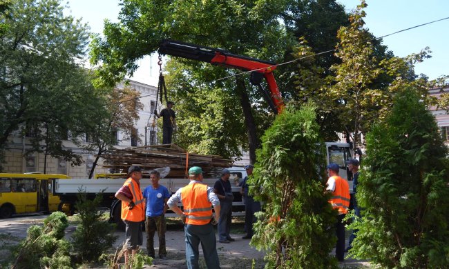 Уничтожение "летников" в Киеве: в столице продолжают снос любимых мест отдыха