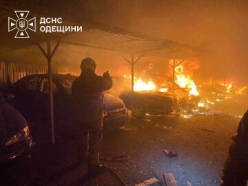 Обстріл під Одесою: згоріли авто та пошкоджено притулок для тварин