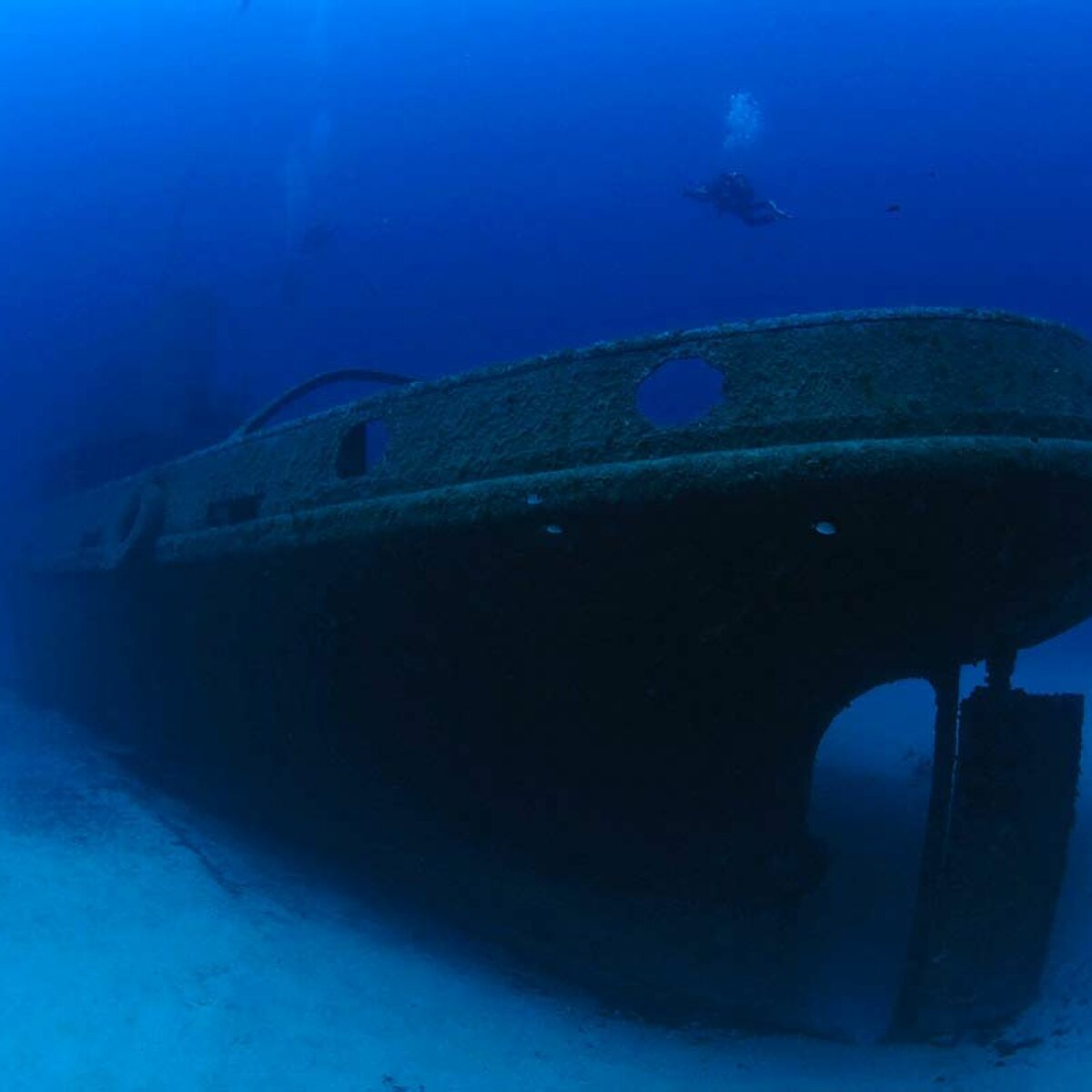 На дне Черного моря нашли самый старый затонувший корабль - ЗНАЙ ЮА