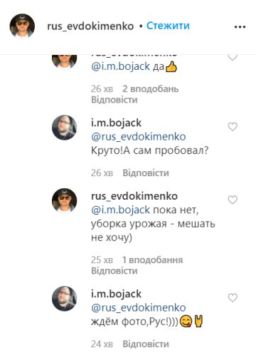 Комментарии, скриншот: instagram.com/rus_evdokimenko