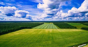 Сельскохозяйственная земля в Украине