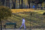 Осінь, фото: Unian