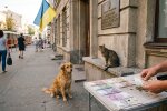 Київ ветеринарна служба тварини