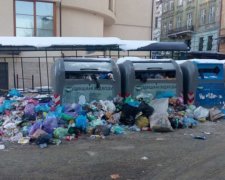 Неплановые каникулы: мусор срывает учебный процесс во Львове