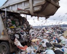 Людству показали ціну чистих вулиць