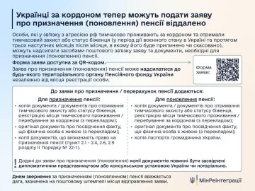 Подача заявки на пенсию. Фото: скрин Минреинтеграции