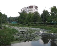 Прогноз погоди, скріншот з відео