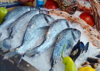 Рыба на прилавке / фото