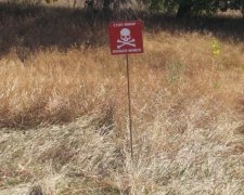 Ужасы войны: на Донбассе произошло очередное ЧП