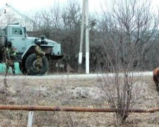 В Інгушетії створили штрафмайданчик для корів