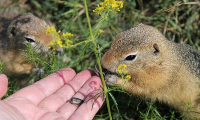 Стало известно, как пробудить в людях щедрость