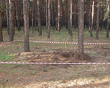 Львовские грибники нашли 30 артиллерийских снарядов