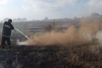  В столице нет загрязнения воздуха из-за тления торфяников - КГГА