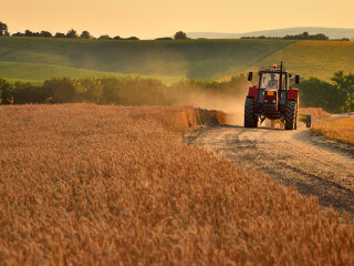 Рынок земли в Украине, Agropolit