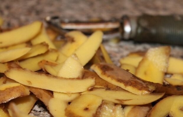 Картофельные очистки, фото: agronomu