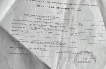 Распоряжение ОПЗ о командировках Константина Шабуняева фото