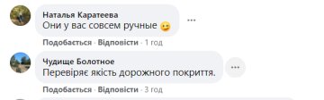 Коментарі, facebook.com/zapovidnyk2018