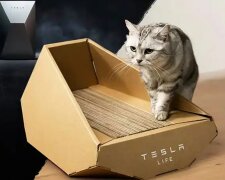 Лоток для кошек в стиле Tesla, скриншот: X