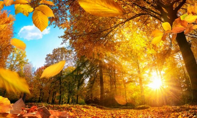 Сентябрьский Киев побил очередной погодный рекорд: "Впервые за сто лет"