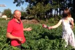 Унікальний бізнес львівського фермера привернув увагу всього світу: "3 мільйони євро з 1 гектара"