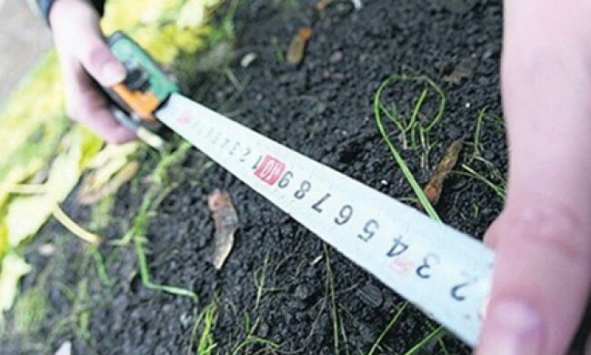 Украинцы в начале октября получат доступ к земельному кадастру